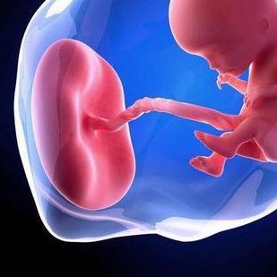 2026陆军总医院生殖中心试管治疗费用详单及项目收费标准