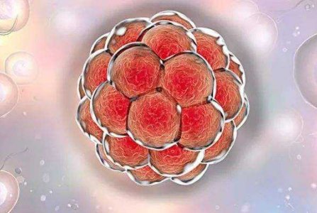 2026年想去都江堰市做试管婴儿需要准备哪些事？详细收费明细一览