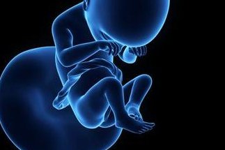 昆明市助孕公司助孕中心哪里有？附联系方式