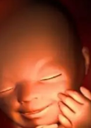 江苏省南京市三大助孕机构都有哪些？